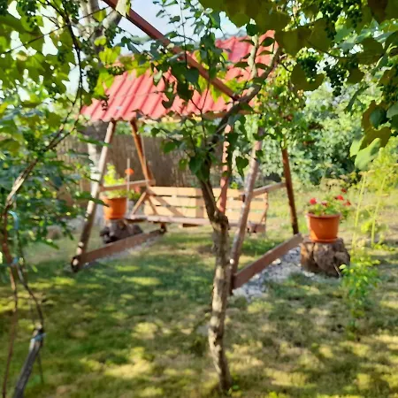 Privat bolig Casa Dan *